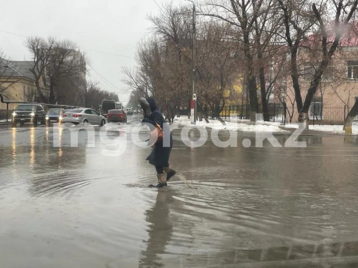 Фото: Мой город
