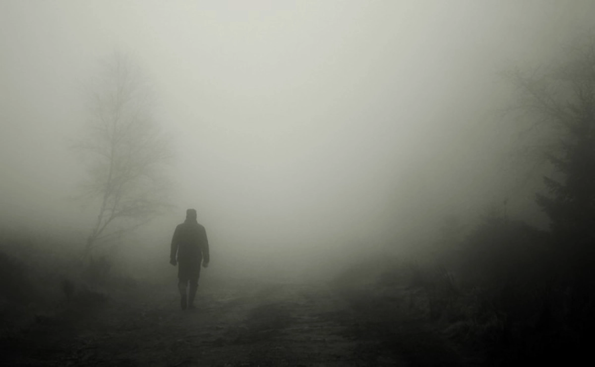 Фото: pixabay