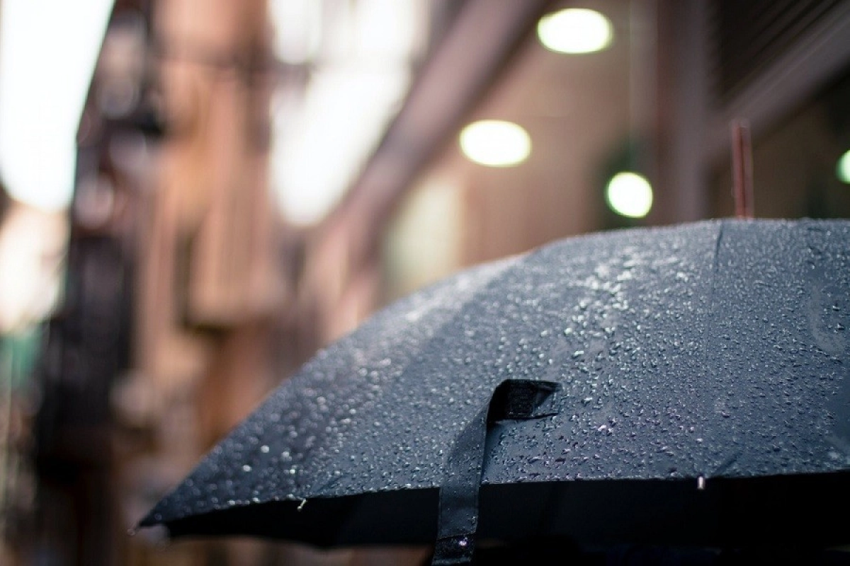 Фото: Pexels.com