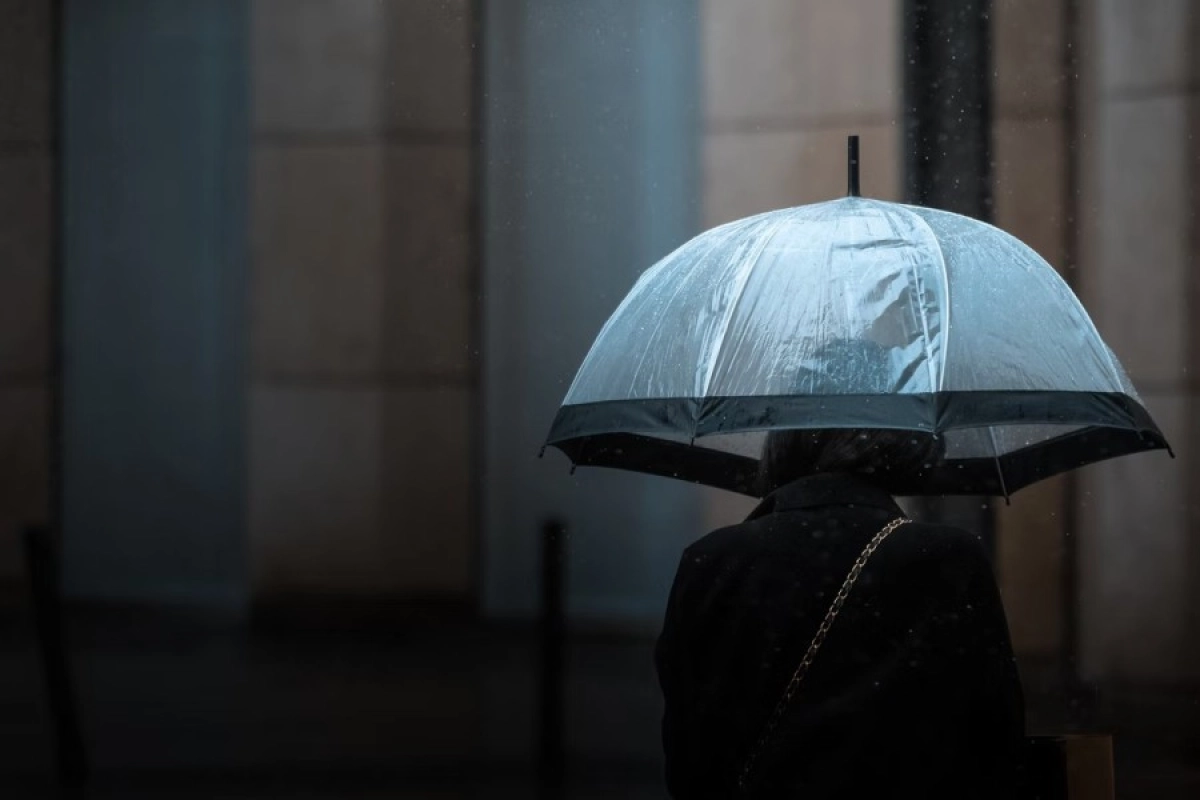 Фото: Unsplash