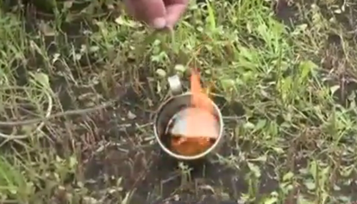 Кадр из видео