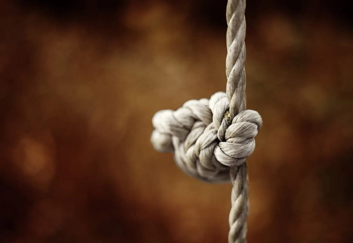 Фото: piqsels