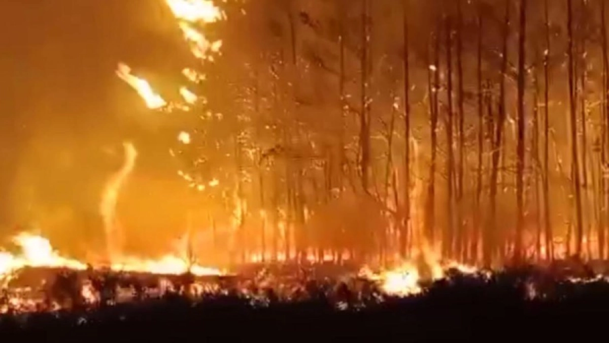 Фото: МЧС