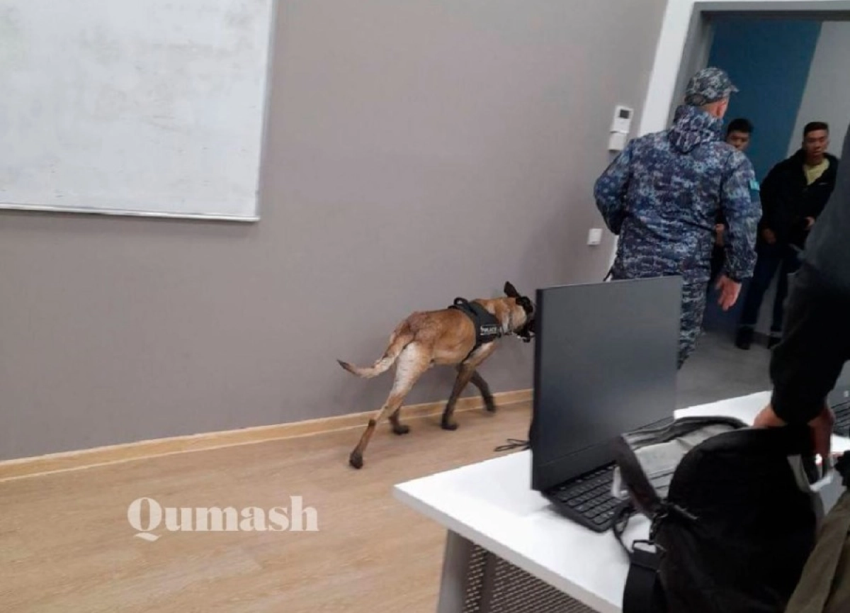 Фото: Qumash/Telegram