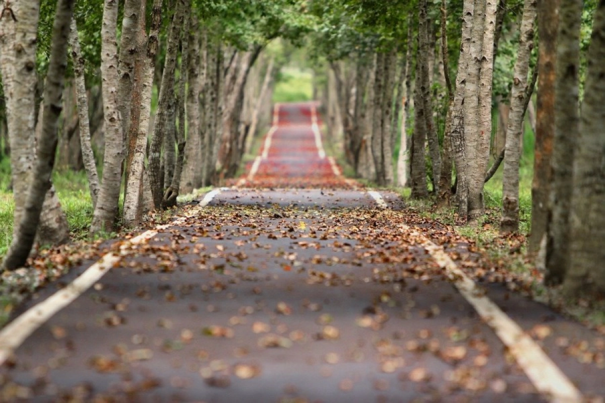 Фото: pixabay