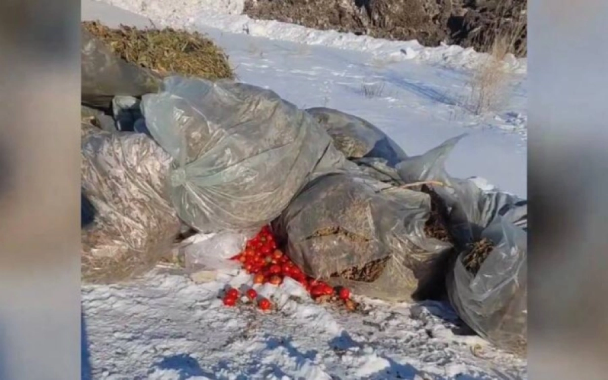 Фото: diapazon.kz