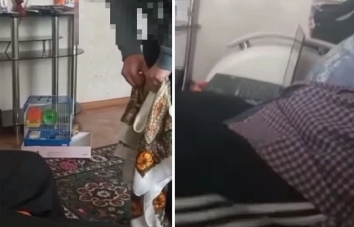 Кадр из видео