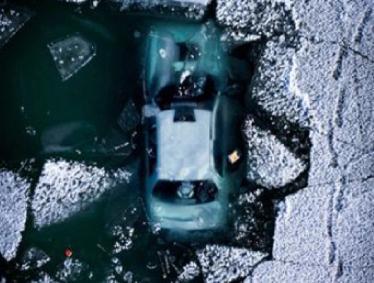 Фото: instagram/Mikhail Shevelev