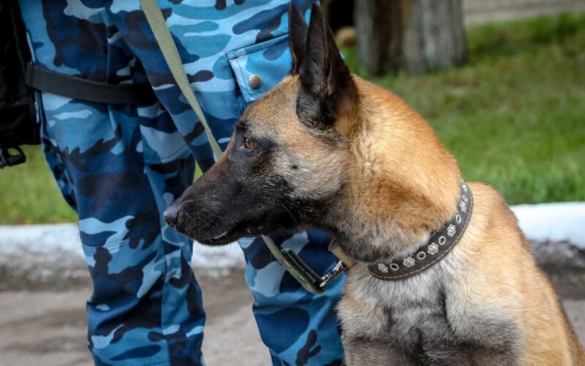 Фото: kazlenta.kz