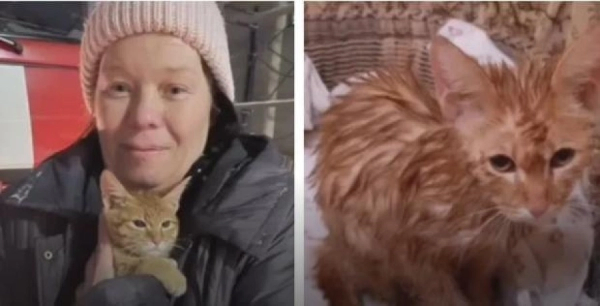 Фото коллаж: ИА «NewTimes.kz»