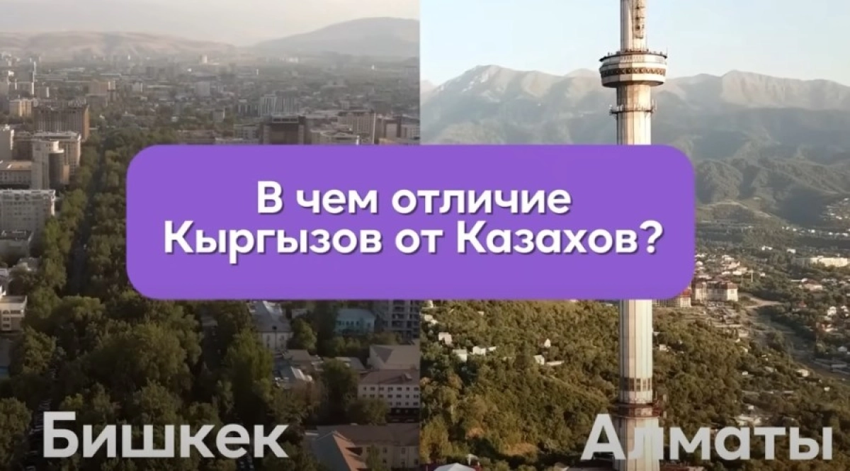 Фото: скриншот видео