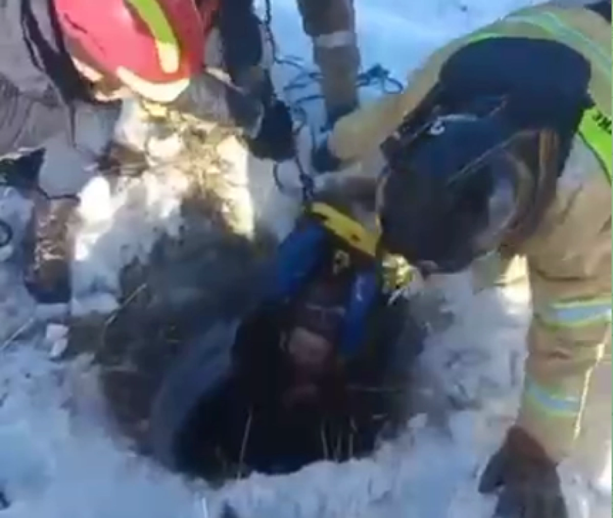 Кадр из видео