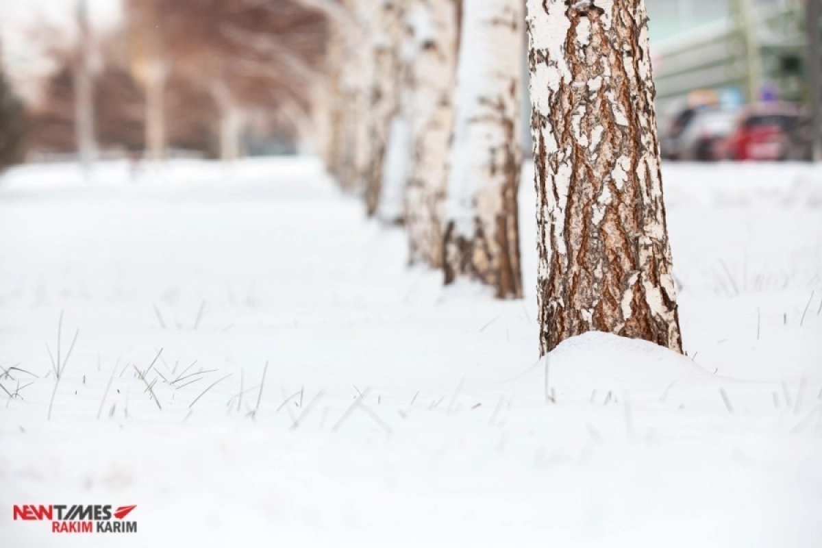 Фото: ИА «NewTimes.kz»