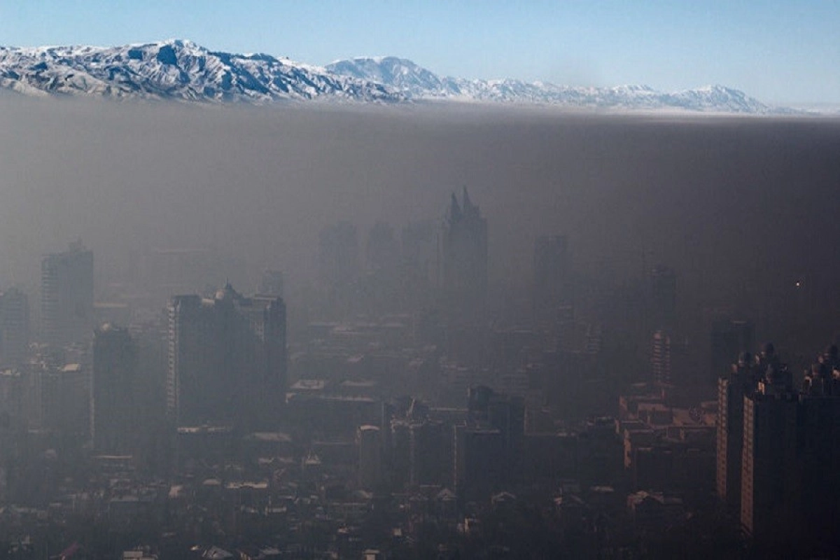 Фото: voxpopuli.kz