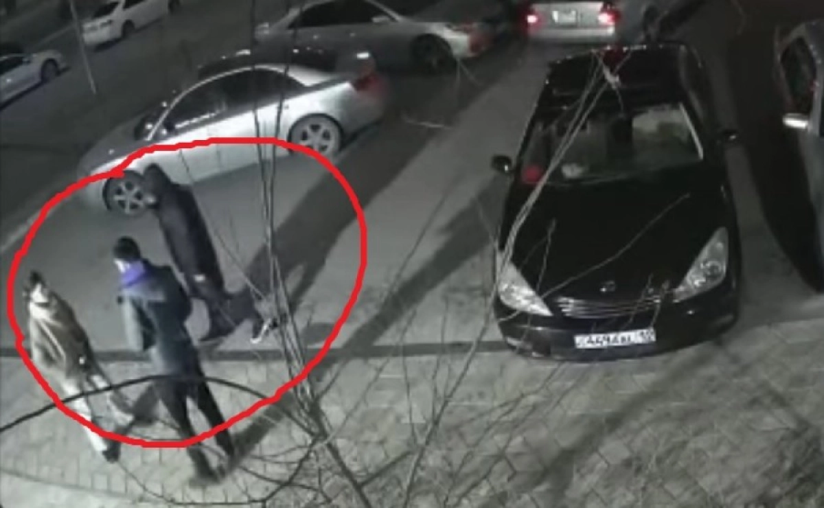 Фото: Скриншот видео