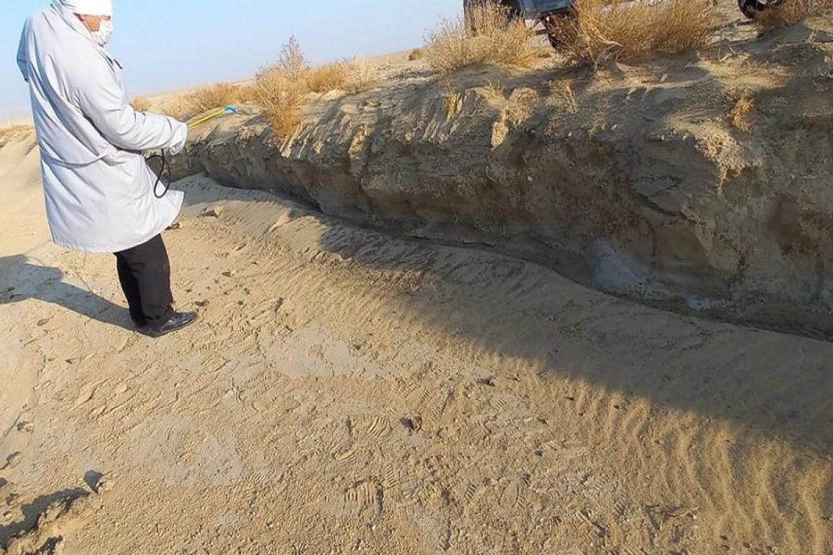 Фото пресс-служба акимата Мангистауской области