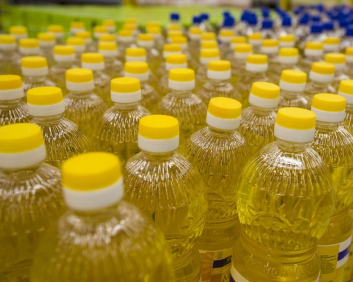 Фото: pixabay.com