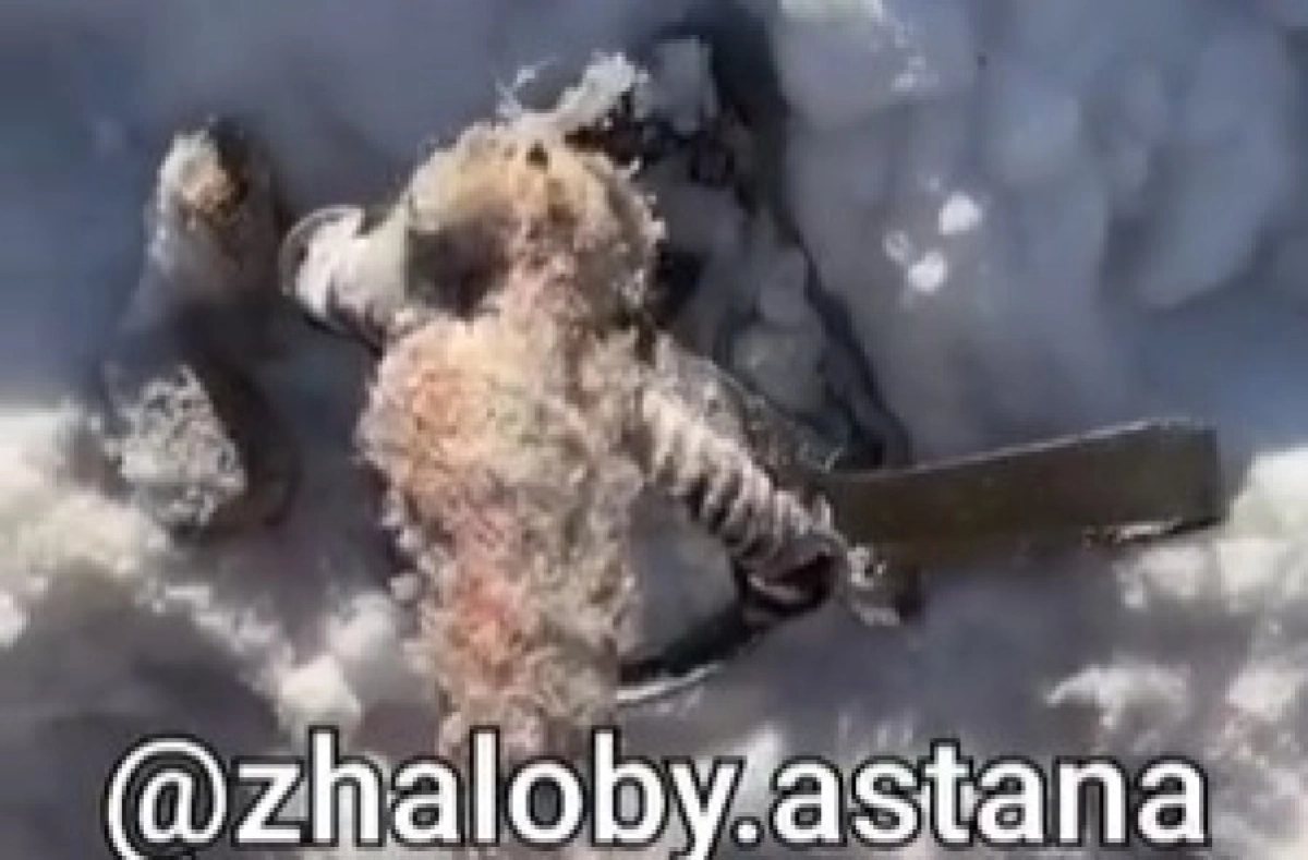 Кадр видео