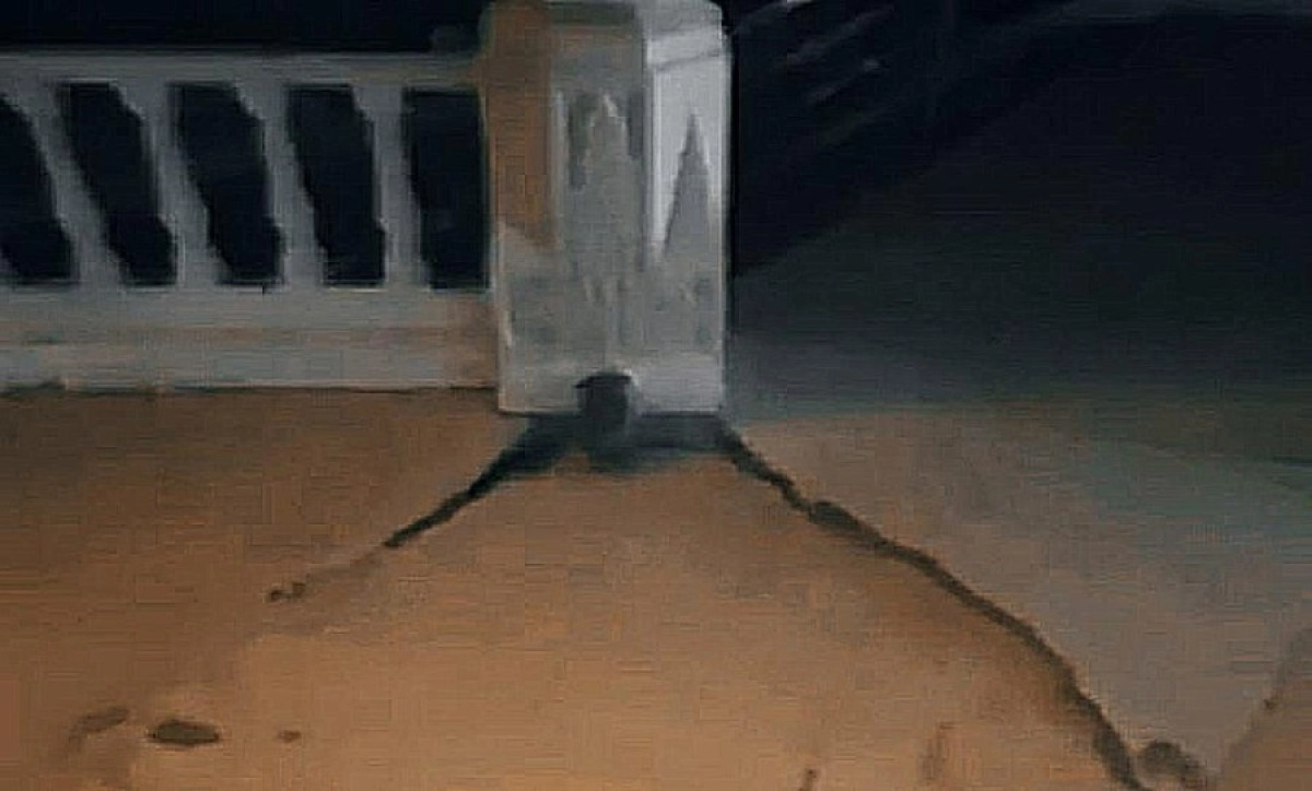 Фото: Кадр из видео