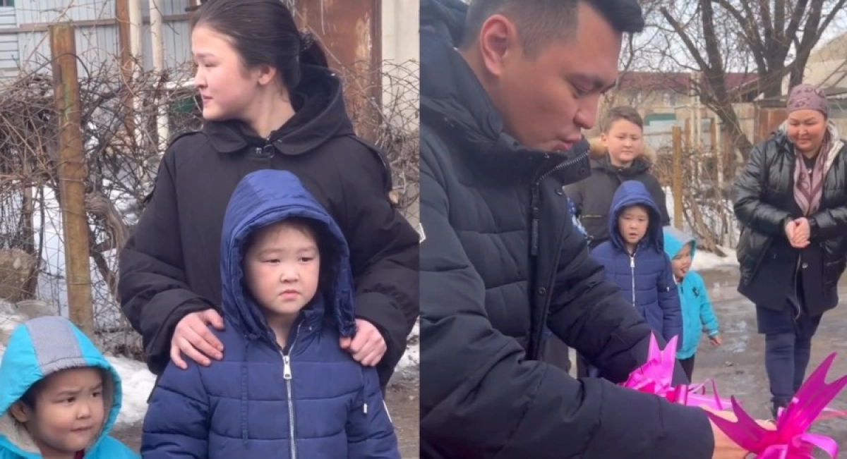 Фото: Коллаж NT