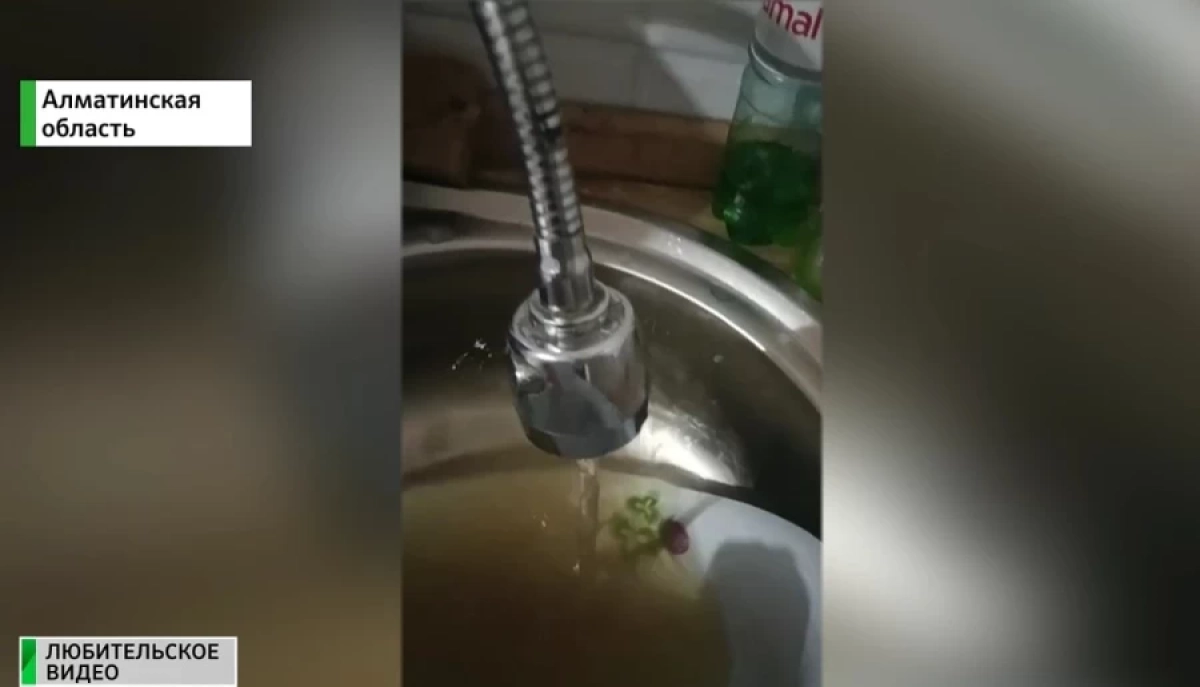 Фото: Almaty.tv