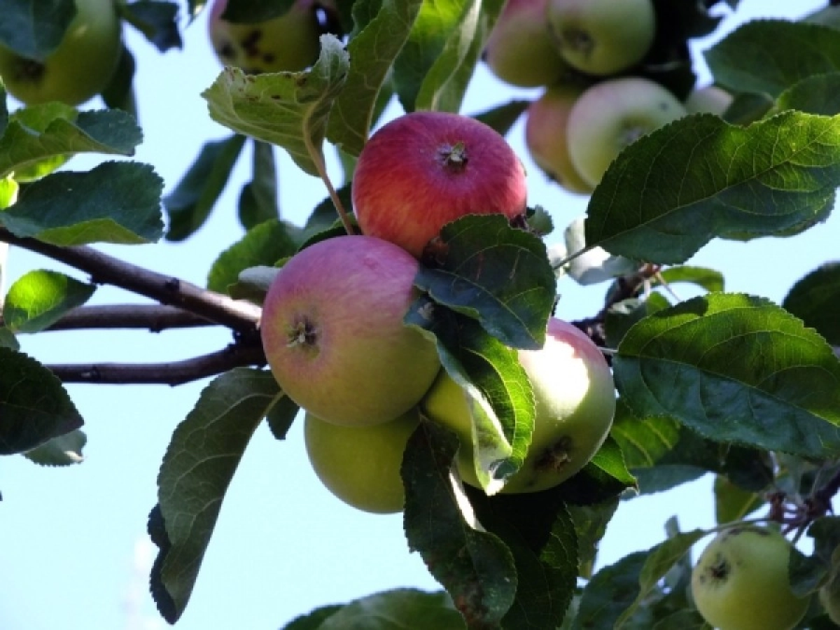 Фото от национального природного парка «Тарбагатай»