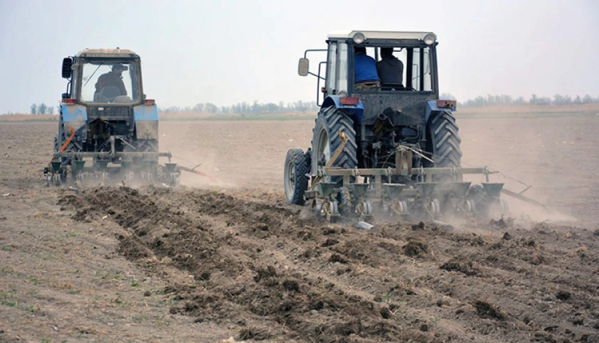 Фото: акимат Жамбылской области