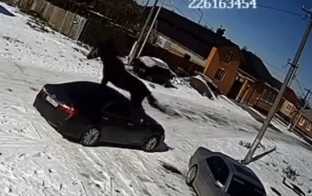 Фото: Кадр из видео