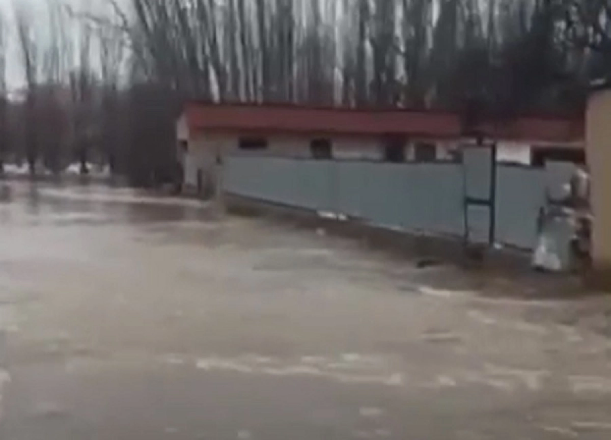 Кадр из видео