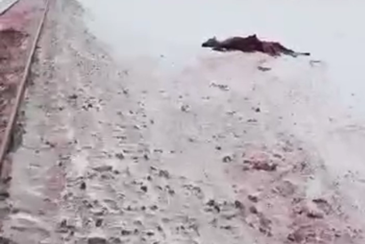 Кадр из видео