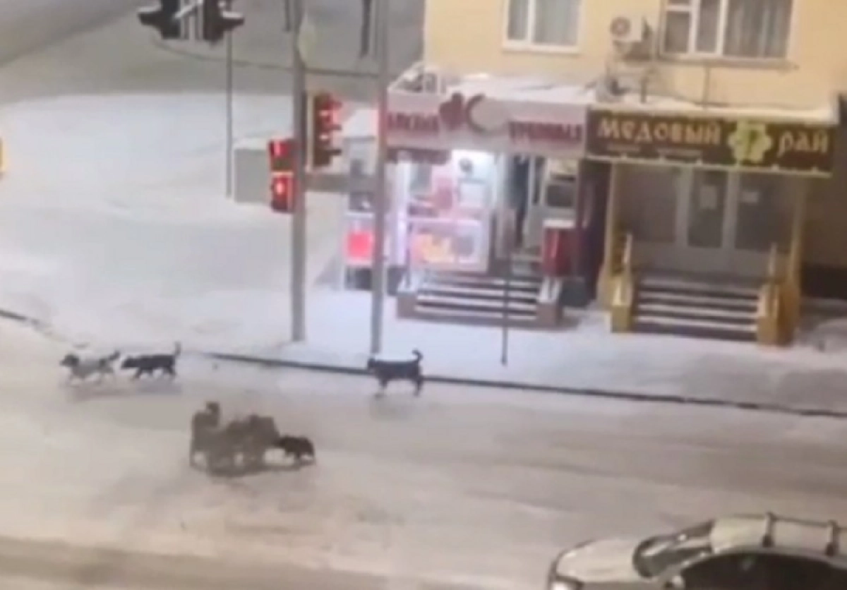 Кадр из видео