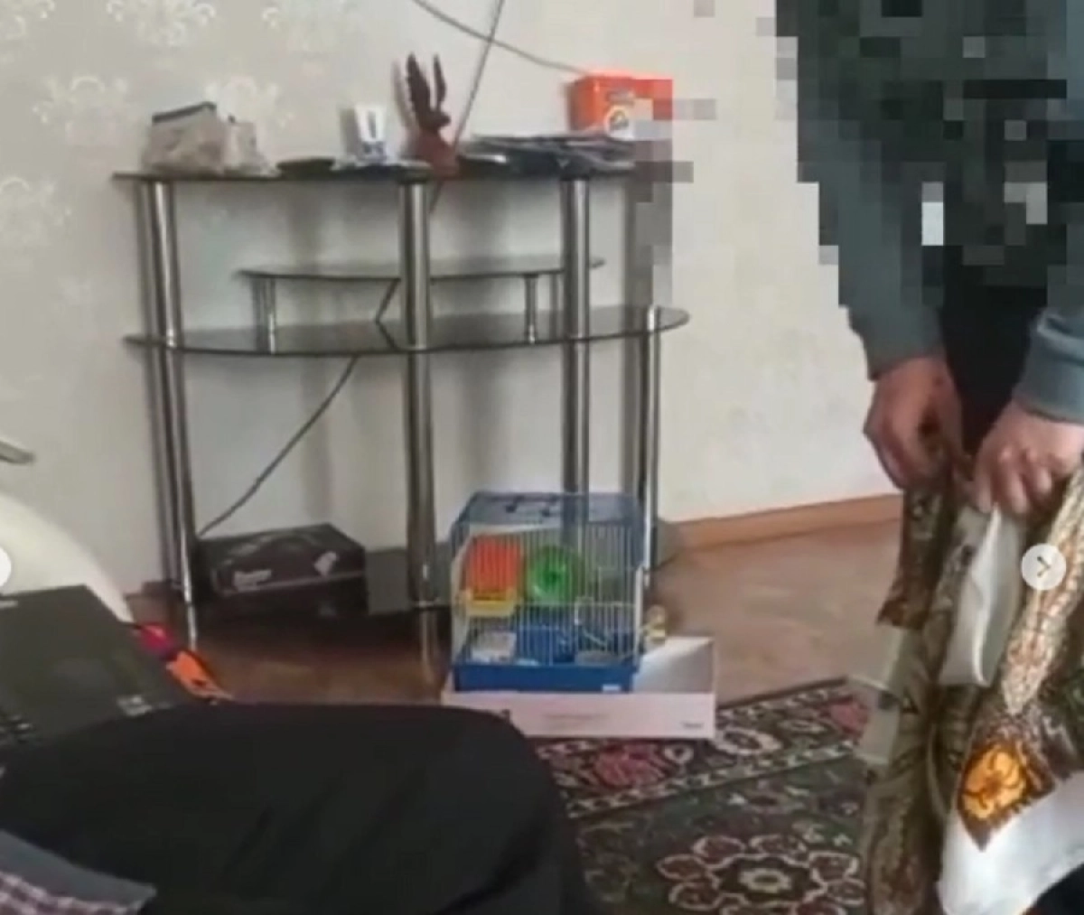 Кадр из видео