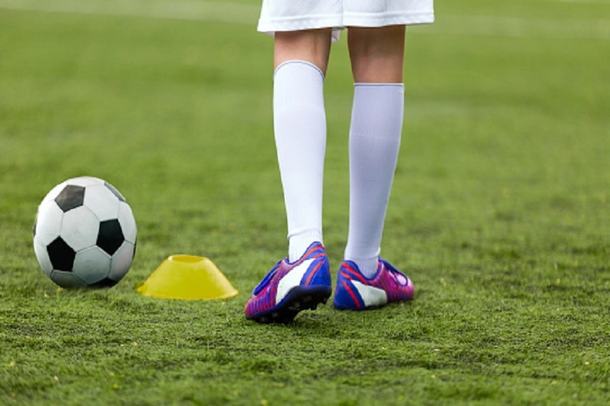 Фото: pixabay.com