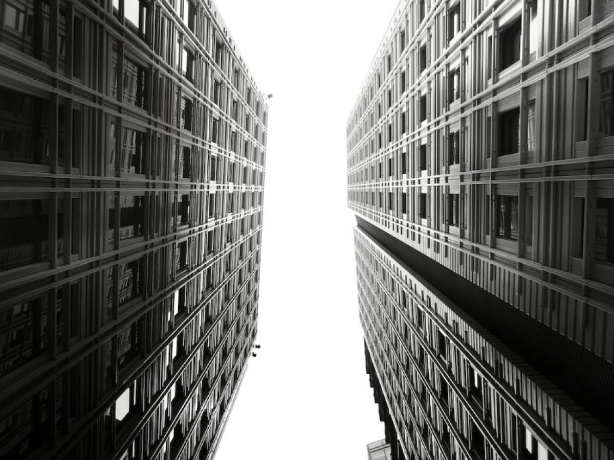 Фото: Pexels