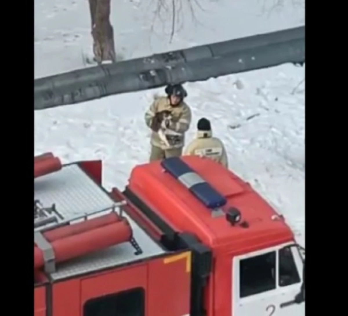 Фото: скриншот видео