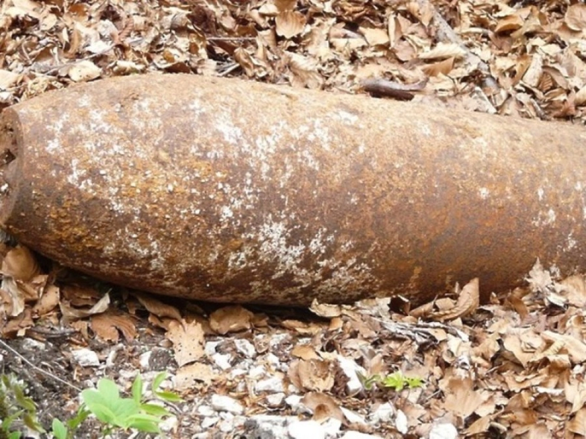 Фото: moyaokruga.ru