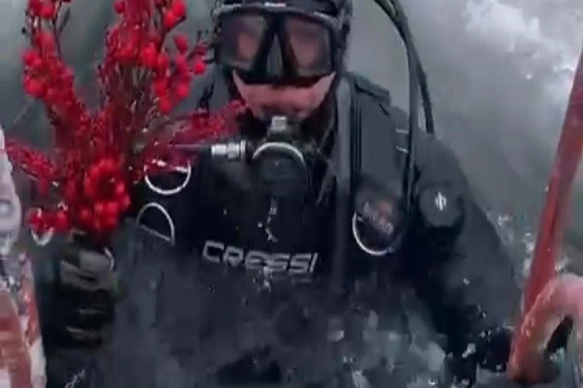 Фото: скриншот видео