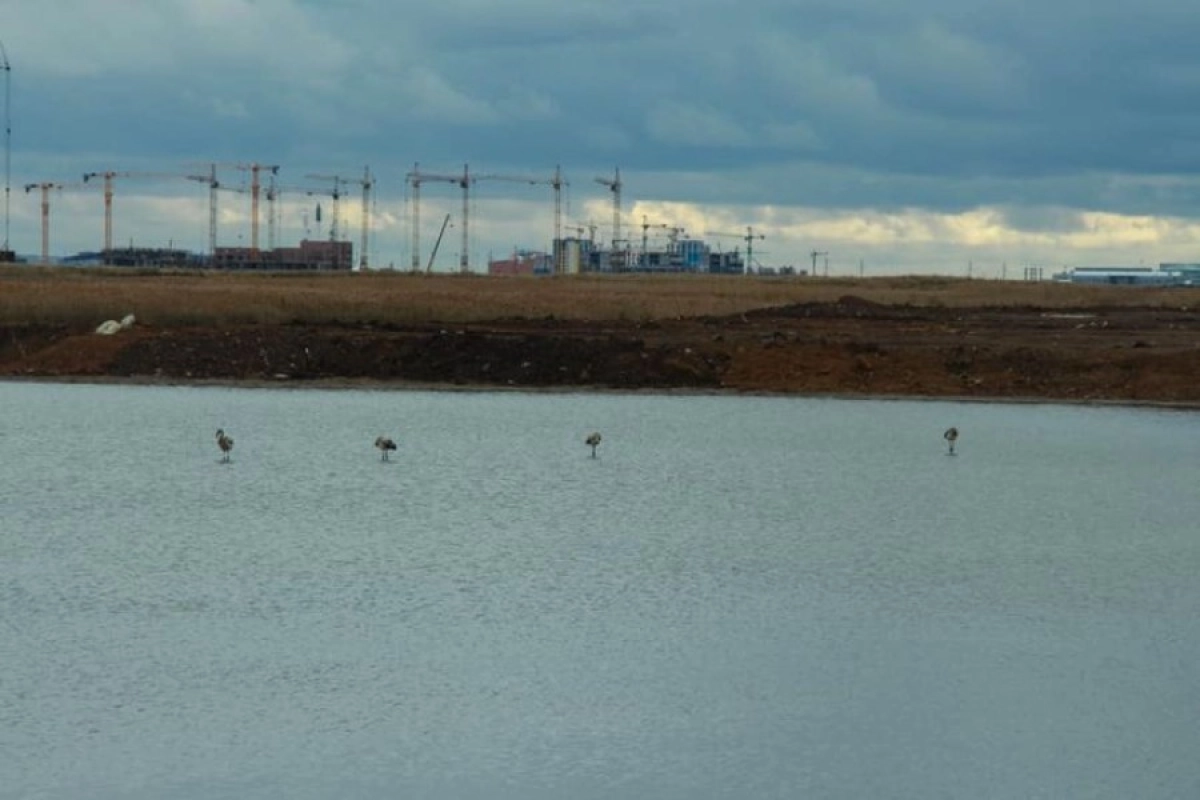 Фото: Facebook/ Shyngys Temir