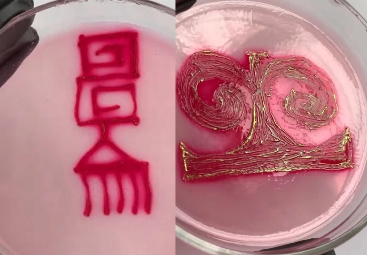 Коллаж: ИА «NewTimes.kz»