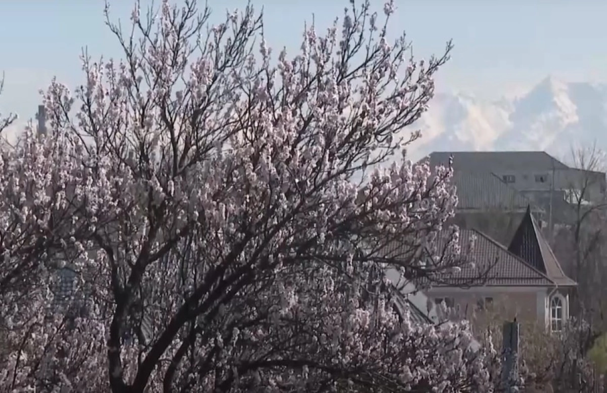 Фото: Кадр видео