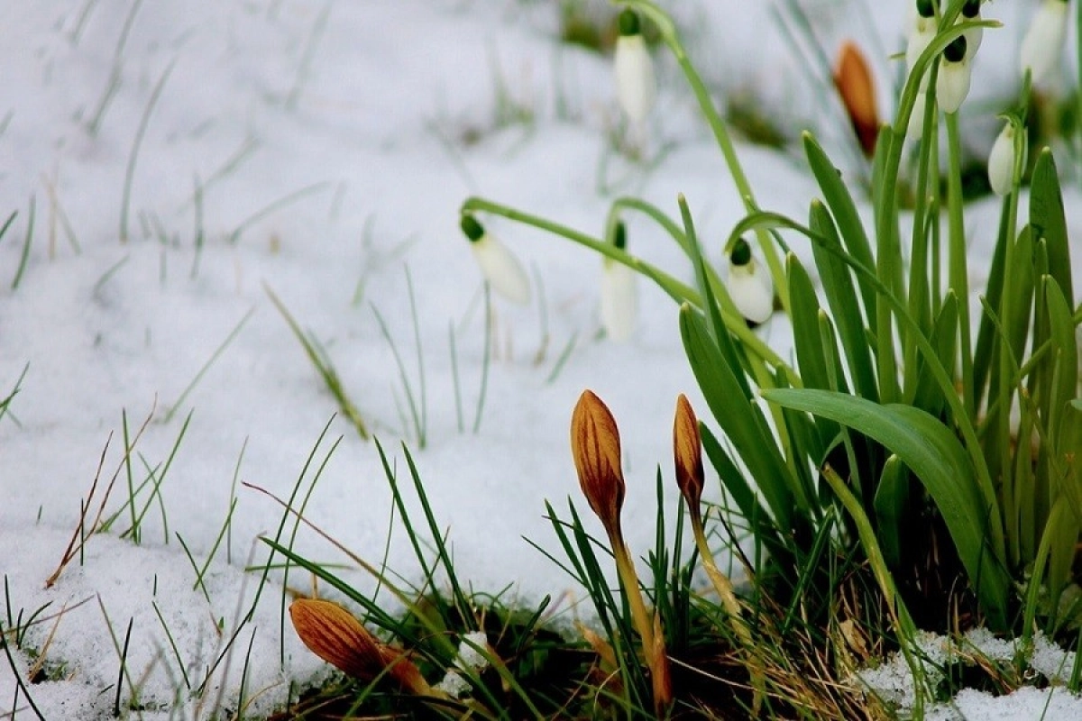 Фото: pixabay.com