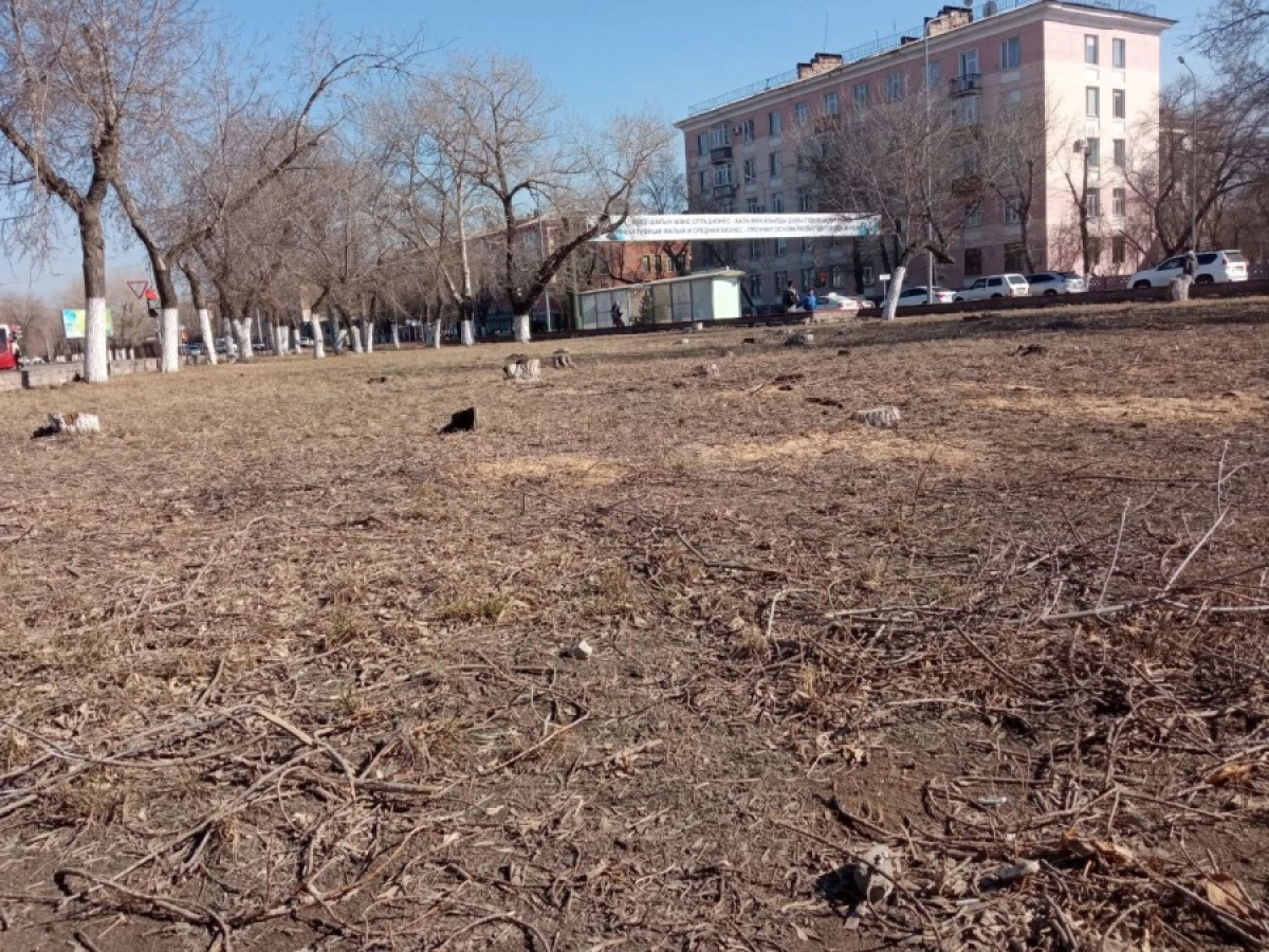 Фото: «Новая жизнь Павлодар»