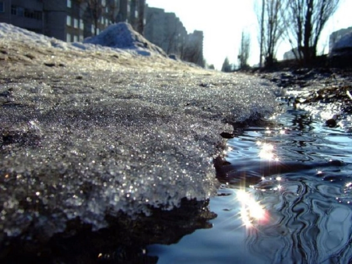 Фото: fotochaynik