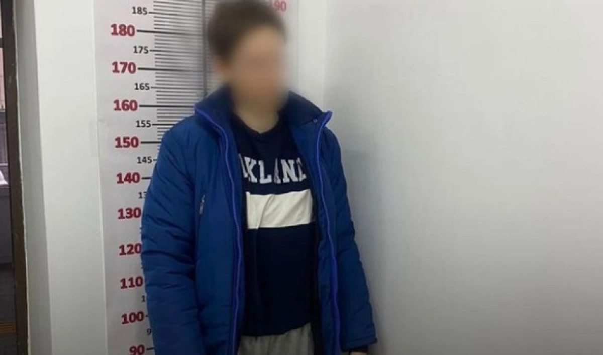 Фото: krisp.tdk/Instagram