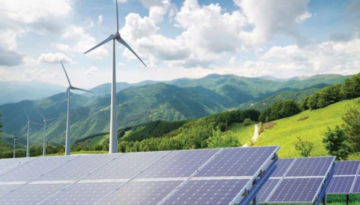 Фото: Shutterstock