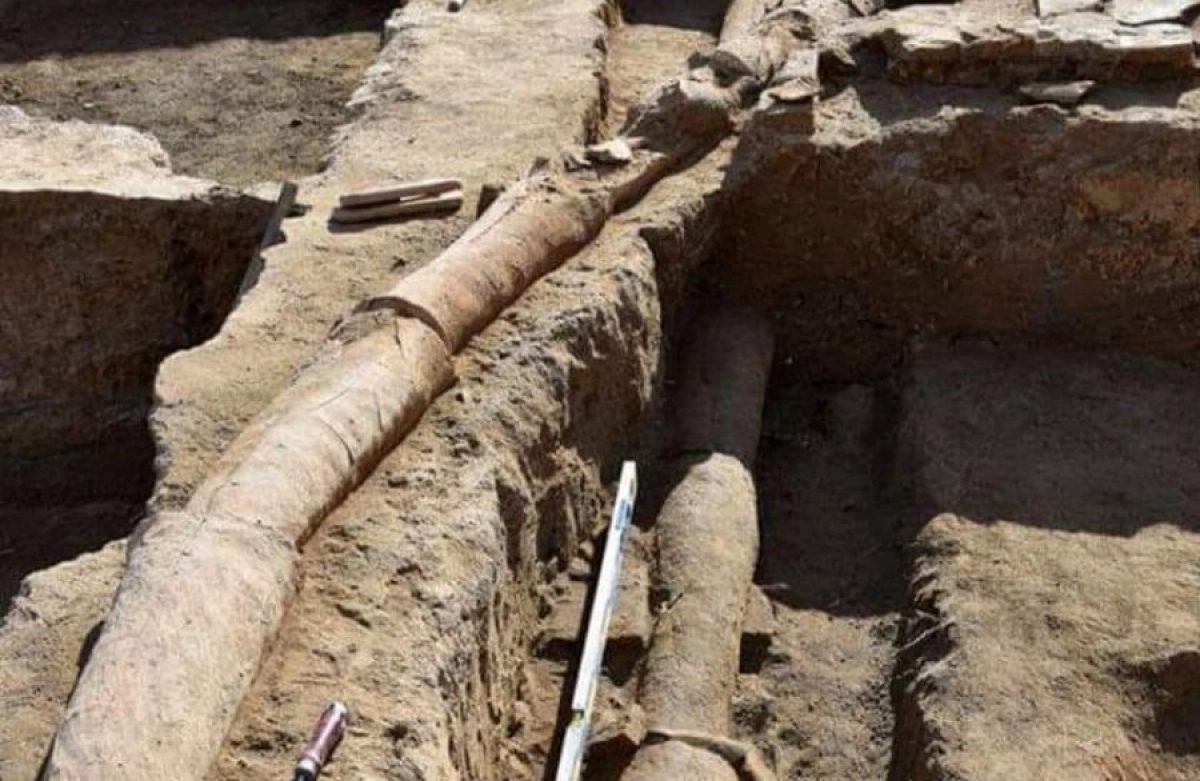 Фото: Алмат Салгарин/Facebook