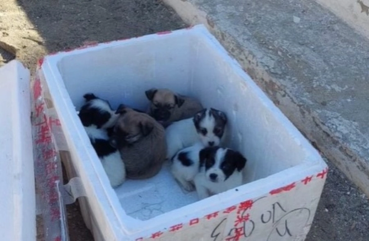 Фото: Кадр видео