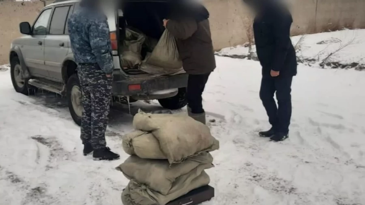 Фото: Пресс-служба ДП Павлодарской области