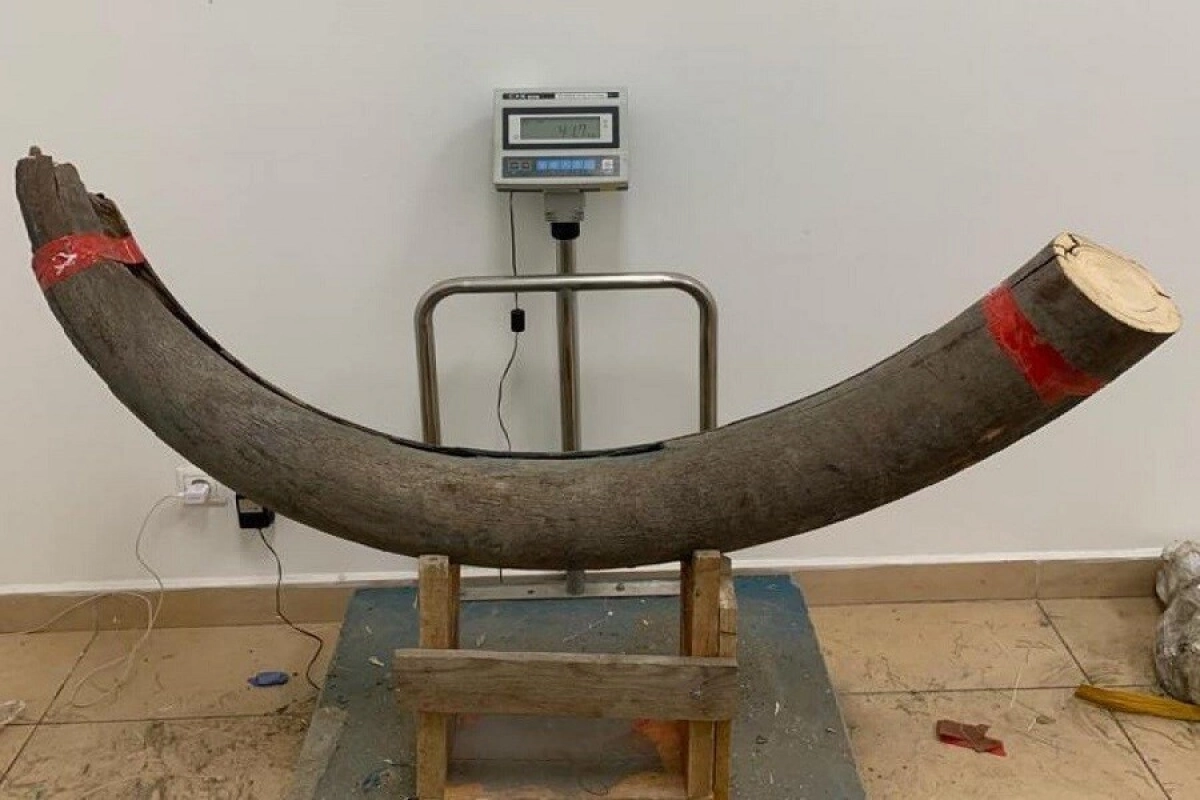 Фото: Дальневосточное таможенное управление