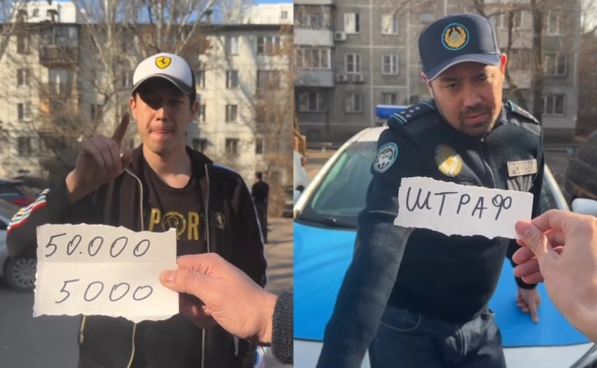 Фото: Скриншот видео